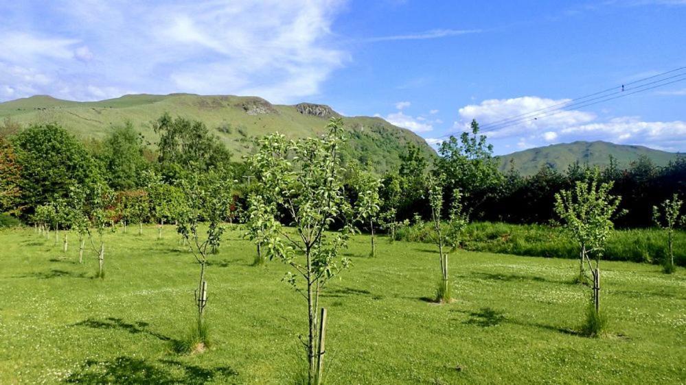 Balcraig House